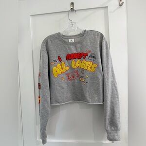 Disney / Pixar heather gray Turning Red I accept all labels sweatshirt (cropped)